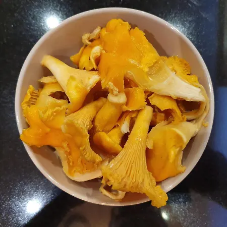 Sammalkalliontie 83 Alpesi faház