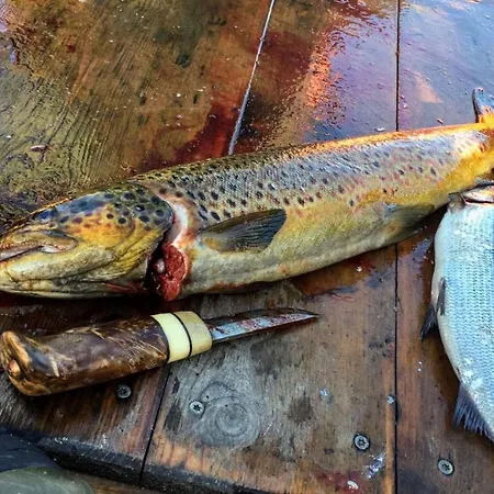 Sammalkalliontie 83 Chalet *