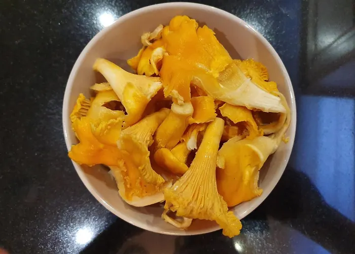 Sammalkalliontie 83 Chalet