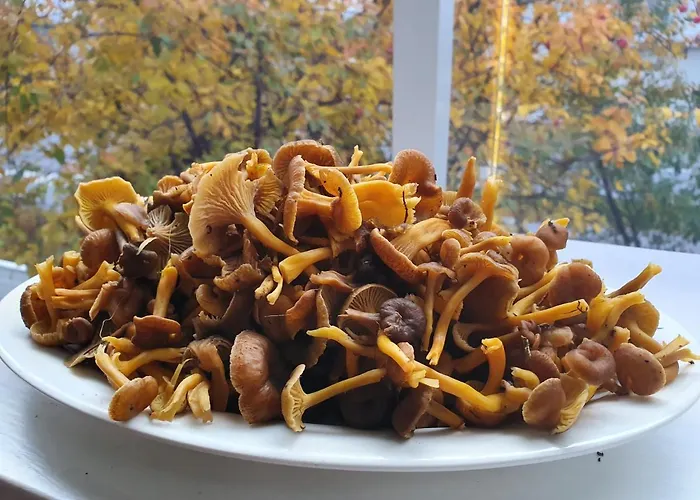 Sammalkalliontie 83 *