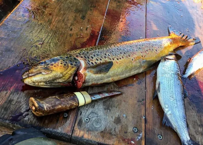 Sammalkalliontie 83 Chalet *